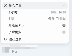 Codex 用量